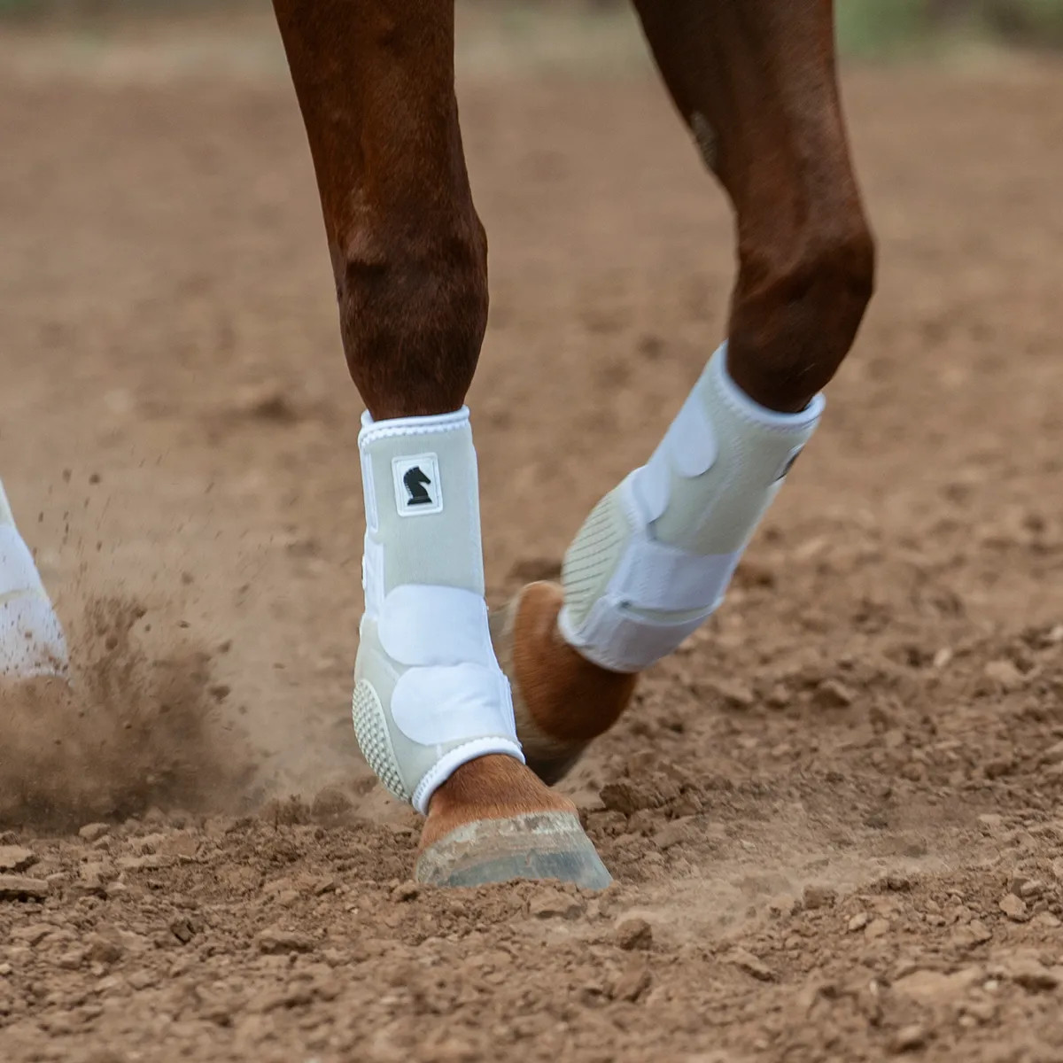 Classic Equine Flexion Legacy2 Support Boots-Front White