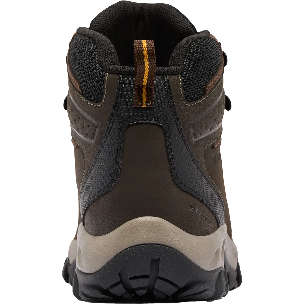 Men's Newton Ridge Plus II Waterproof