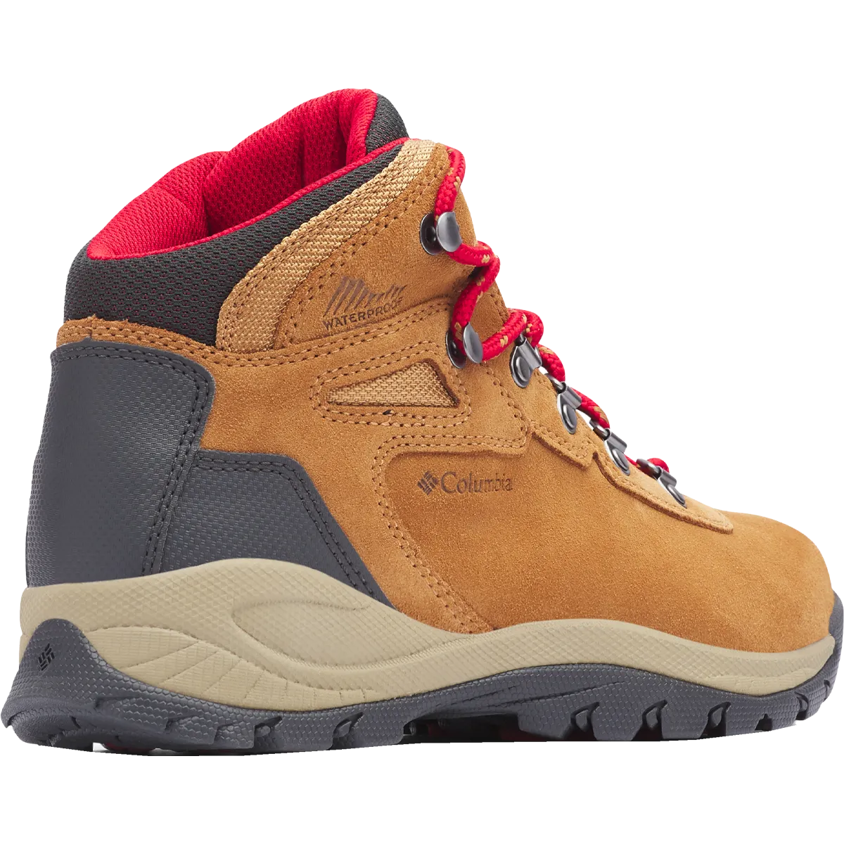 Women's Newton Ridge Plus Waterproof Amped